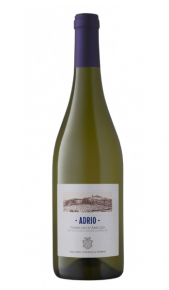 Trebbiano d'Abruzzo Adrio Orlandi Contucci Ponno