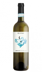 Genius Loci Fiano Sannio DOP Terre Stregate Terre Stregate