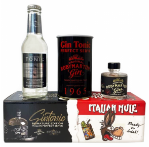 Gin Tonic Delivery Pack Roby Marton