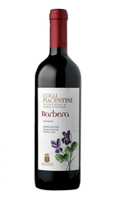 Barbera DOC Colli Piacentini  Vivace Cantine Bacchini