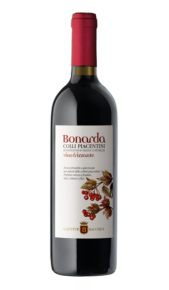 Bonarda DOC Vivace Cantine Bacchini