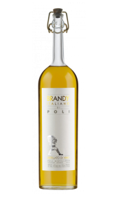 Brandy Poli Italiano 0,70 lt vendita online