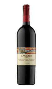 Cagiolo Montepulciano d'Abruzzo DOP Riserva Tollo Cantina Tollo