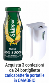 Succhi Zuegg Skipper 0.2l ananas - Conf. 24 pz Zuegg