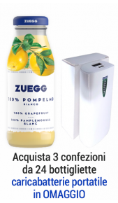 Succhi Zuegg Top 200 ml pompelmo - Conf. 24 pz Zuegg