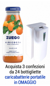 Succhi Zuegg Top 0.2l albicocca - confezione 24 pz Zuegg