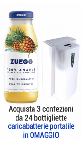 Succhi Zuegg Top 0,20 l ananas - confezione 24 pz Zuegg