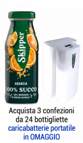 Succhi Zuegg Skipper arancia 0.2l - confezione 24 pz Zuegg