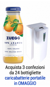 Succhi Zuegg Top 200 ml arancia - Conf. 24 pz Zuegg