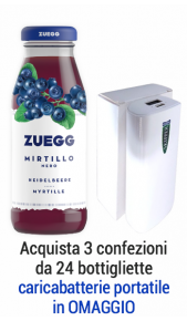 Succhi Zuegg Top 0,20 l mirtillo - confezione 24 pz Zuegg