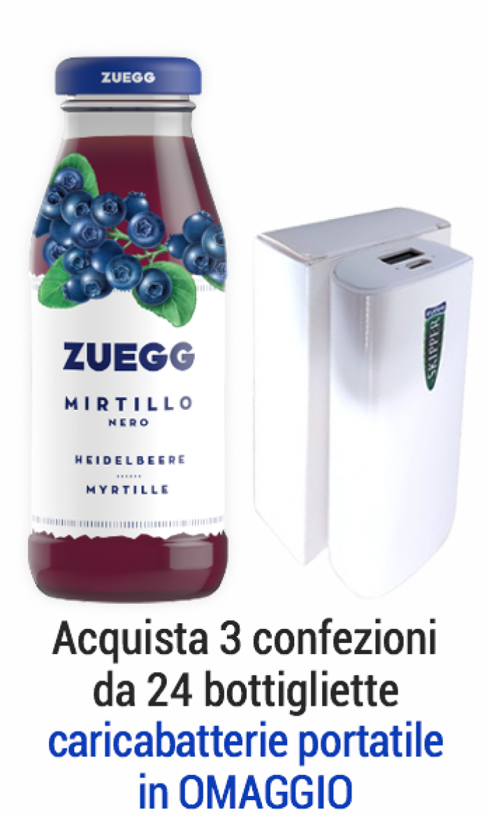 Succhi Zuegg Top 0,20 l mirtillo - confezione 24 pz - Zuegg - Bevande  succhi online