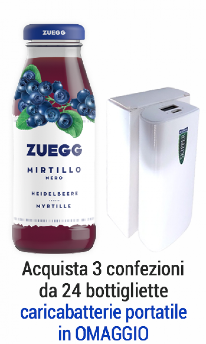 Succhi Zuegg Top 0,20 l mirtillo - confezione 24 pz - Zuegg - Bevande succhi  online