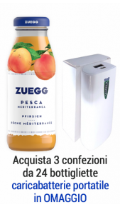 Succhi Zuegg Top 200 ml pesca - Conf. 24 pz Zuegg