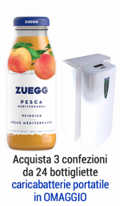 Succhi Zuegg Top 0,20 l pesca - confezione 24 pz Zuegg