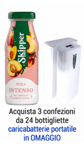 Succhi Zuegg Skipper pesca 0.2l- confezione 24 pz Zuegg