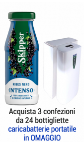 Succhi Zuegg Skipper ribes nero 0,20 l - confezione 24 pz Zuegg