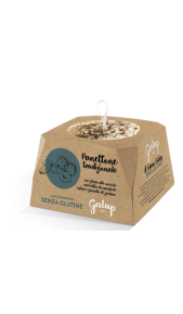 Panettone Galup SENZA GLUTINE classico 400g Galup