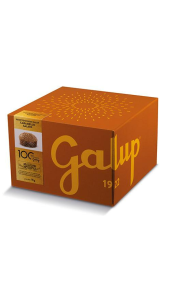Galup panettone caramello salato 1kg Galup
