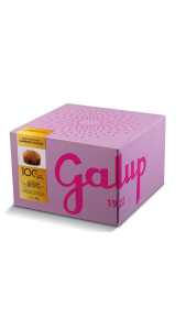 Galup panettone marron glaces 1kg Galup