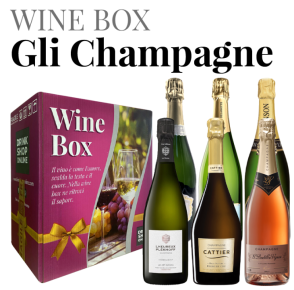 Box regalo selezione champagne (6 bottiglie) Wine Box "Gli Champagne"