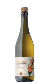 Malvasia Secco DOC Cantine Bacchini