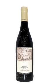 Amarone classico Castelrotto Domini Veneti Domini Veneti