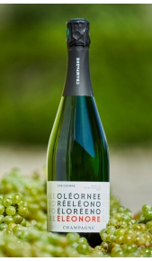 Champagne Eleonore Ambigramme Eleonore