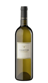 Curtefranca DOC Ferghettina