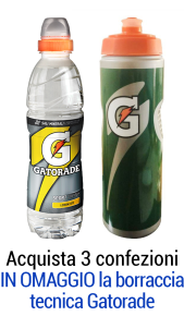 Gatorade lemon ice 0,50l - Conf. 12 pz Gatorade