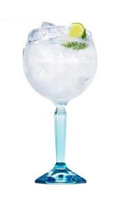 Calice Gin Tanqueray