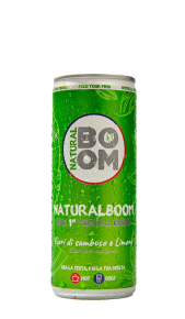 Mental drink fiori di sambuco e limone 0,25 l NATURAL BOOM