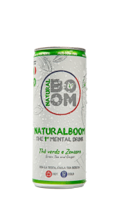 Mental drink thè verde e zenzero 0,25 l NATURAL BOOM