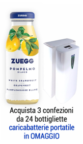 Succhi Zuegg Top 0,20 l pompelmo - confezione 24 pz Zuegg