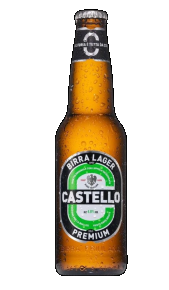 Birra Castello La Decisa 0,33 l in vendita online