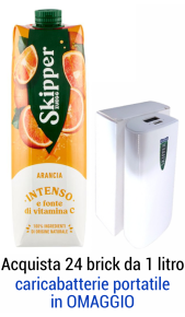 Skipper Brik Arancia 1l Zuegg