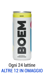Hard Seltzer Boem Gusto Ginger Lattina 25cl BOEM -tubo srl-