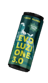 Birra Ibeer Evoluzione 3.0 lattina 0,33 l IBEER