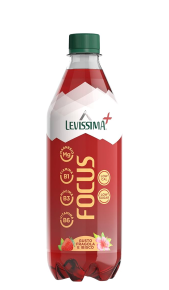 Acqua Levissima Focus 0,50l Levissima
