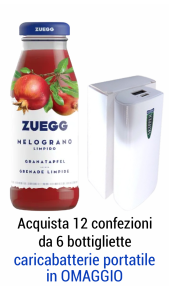 Succhi Zuegg 0,125 l Melograno - Conf. 6 pz Zuegg