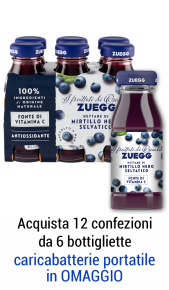 Succhi Zuegg mirtillo 125 ml - Conf. 6 pz Zuegg