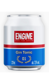 Gin Engine BIO Ready To Drink 23,7 l Dalla Mora & Partners