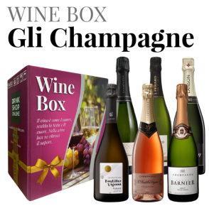 Box regalo selezione champagne (6 bottiglie) Wine Box "Gli Champagne"