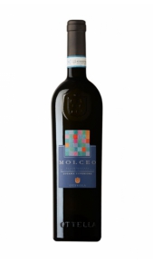 Lugana DOC Riserva Molceo Ottella Ottella