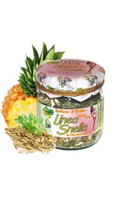 Infuso Linea Snella 80g Trentino Erbe