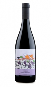 Corvina Veronese IGT Negrar Domini Veneti