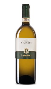 Serra Fiorese Verdicchio dei Castelli di Jesi DOC Garofoli Garofoli